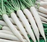 Radish