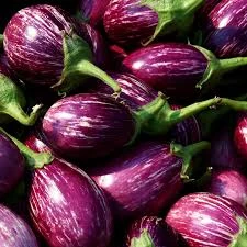 Brinjal
